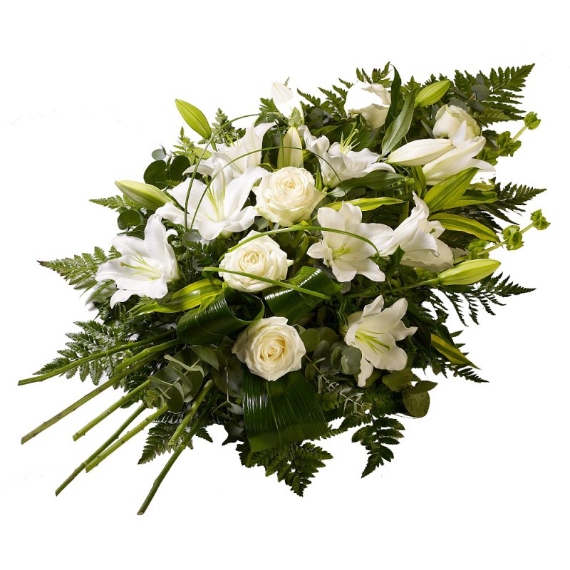 Zelená a biela sympatia